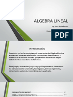 Presentación Algebra Lineal