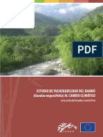 Estudio_de_vulnerabilidad_del_bambu.pdf