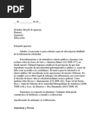 Modelo de Carta de Entrega