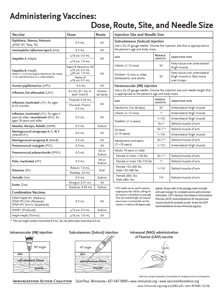Injection Site and Needle Size Vaccine Dose Route | PDF | Injection ...