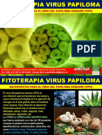 FITOTERAPIA VIRUS PAPILOMA HUMANO AMENAT.pdf