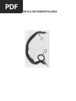 parasitologia apostila