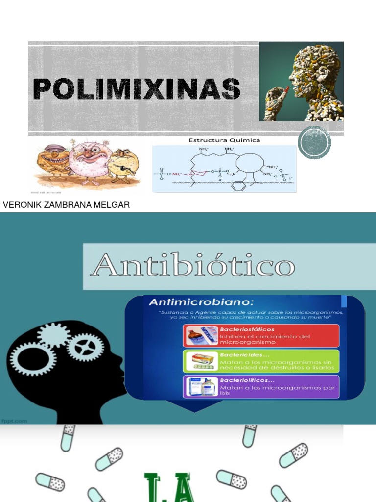 Polimixinas: Mecanismo y Usos Clínicos | PDF | Bacterias Gram-negativo ...