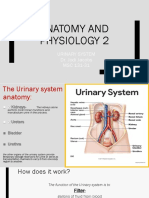 Anatomy and Physiology 2: Urinary System Dr. Jodi Jacobs MSC 131-31
