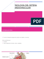 Morfología Del Sistema Cardiovascular