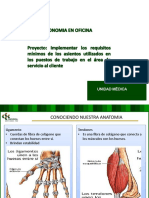 Ergonomía en Oficina - Servicio Al Cliente