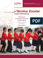 Guía CTE Fase Intesiva 2019-20 (1)