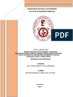 Informe 4 en PDF