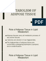 Role of Adipose Tissue in Lipid Metabolism and Ketone Body Formation