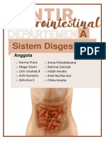 Sistema Digestiva