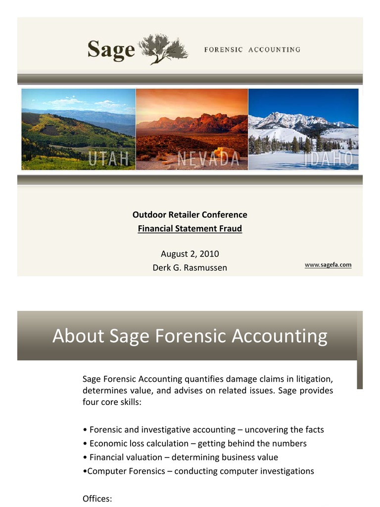 Financial Statement Fraud Insights | PDF | Revenue | Expense