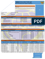 Curriculum Vitae