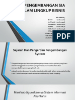 Pengembangan Sia Dalam Lingkup Bisnis