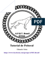 Esteiras PDF