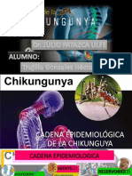 cadenaepidemiolgicadelachikunguya-170303170618.pdf
