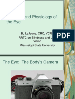 Anatomy & Physiology of The Eye