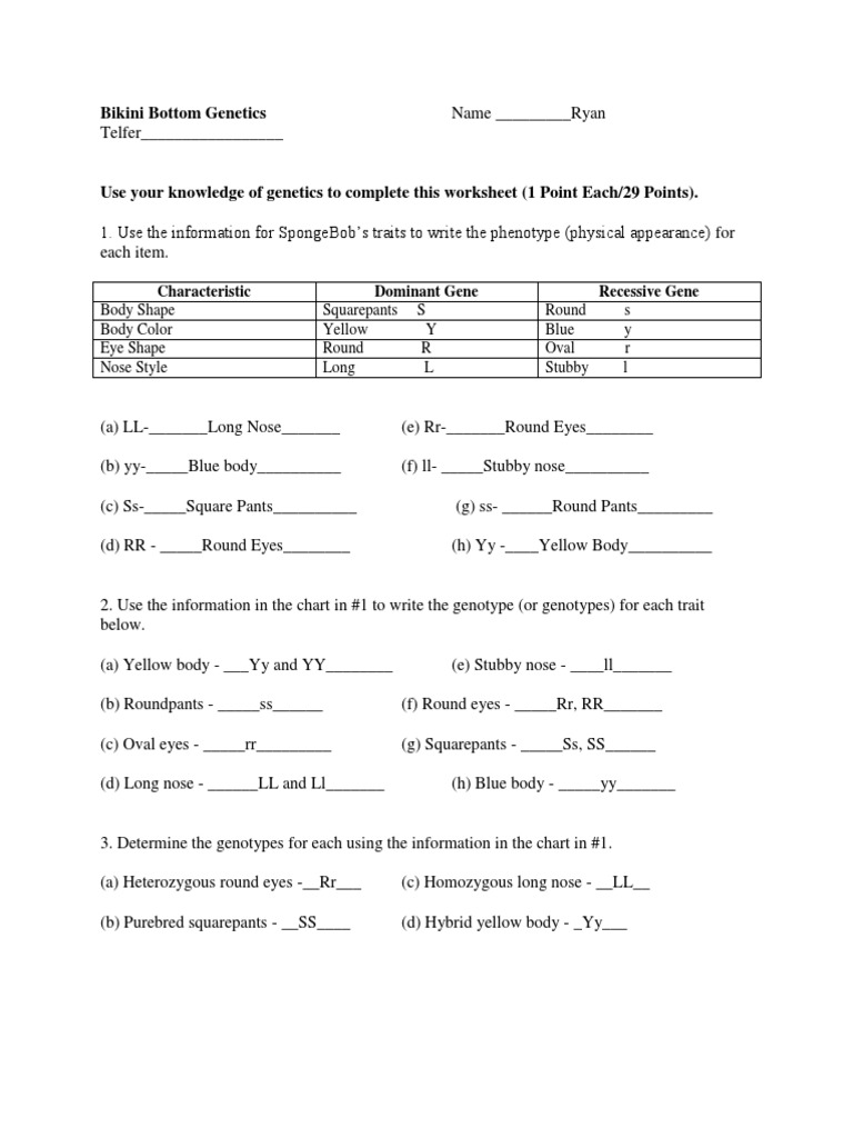 Bikini Bottom Genetics Worksheet | PDF | Genotype | Dominance (Genetics)
