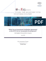 What Can An Investment Facilitation Agreement at The WTO Do For Sustainable Development