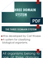 The Three Domain System: Prepared By: Marimar T. Abrigo