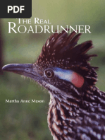 Pub The Real Roadrunner Animal Natural History PDF