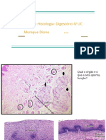 Revisão Histologia IV UC