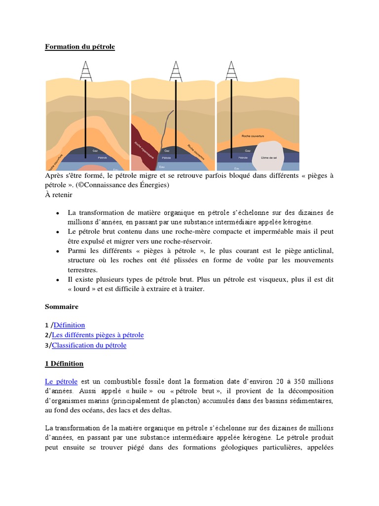 Comment Representer Sur Un Schema Des Gisement D hydrocarbure Geologie Petroli7re | PDF | Huiles | Pétrole