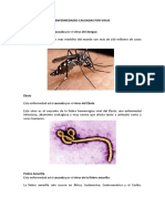 Enfermedades Causadas Por Virus 2019