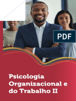 Psicologia Organizacional e do Trabalho II