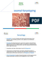 Chromosomal Karyotyping Chromosomal Karyotyping
