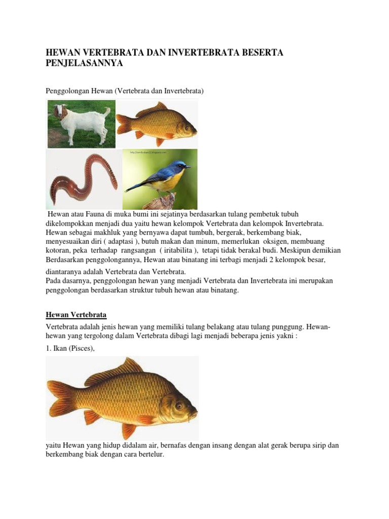 Hewan Vertebrata Dan Invertebrata Beserta Penjelasannya Pdf