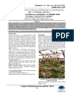 Jurnal PDF