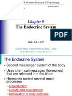 The Endocrine System: Slides 9.1 - 9.22