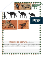 DESIERTOS ARINADOS