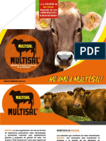 Portafolio Multisal