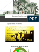 Aula 22042019_ Sistemas Agroflorestais