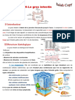 Le gros intestin V 2016-2017.pdf