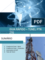 Guia Túnel Sul - Zte