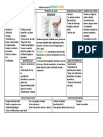 Canvas - Bebida Nutricional