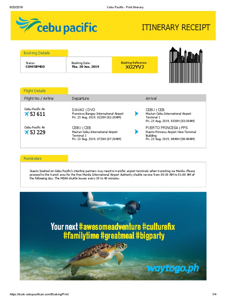 PALAWAN PDF Fee Aviation