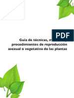 Guía  de técnicas métodos y procedimientos de reproducción asexual o vegetativa de las plantas.pdf