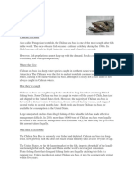 chilean-sea-bass-factsheet.pdf