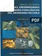 Arandanos PDF