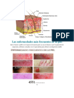 Las Enfermedades Más Frecuentes de La Piel