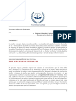 Lecciones de Derecho Probatorio