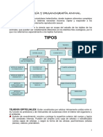 Histologia y Organografia Animal PDF