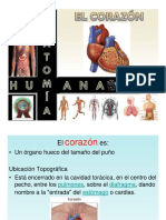 Corazonhumanoppt 110416234611 Phpapp02 PDF