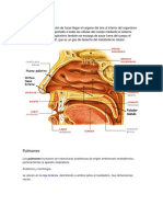 oxigeno terapia pulmonar - copia.docx