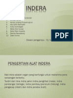 Kel 1 Panca Indera