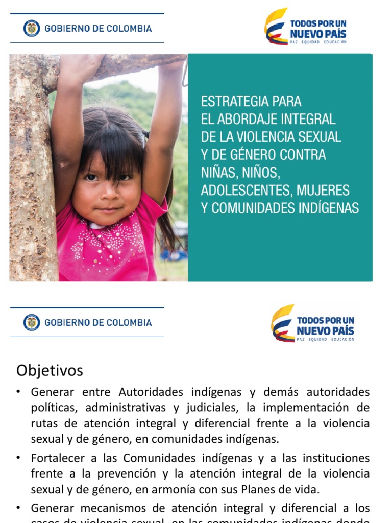 Estrategias para El Abordaje Integral de La Violencia Sexual ...