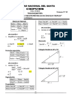 Angulo Tripleabcd PDF